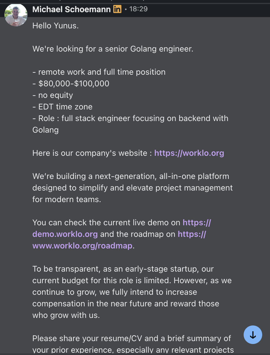 LinkedIn message from Michael Schoemann offering a senior Golang engineer position at Worklo